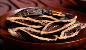 搜狗发布2020年Q1财报：用户规模创新高 AI赋能显效果