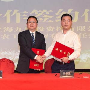 拥抱名山名城  金恪集团与黄山杭徽签订战略合作