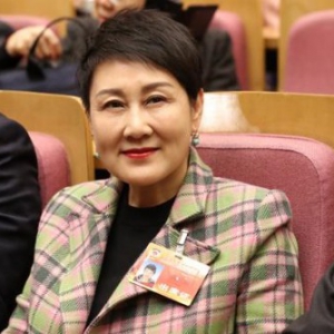 张凯丽、冯远征、潘鲁生等文艺界委员发声两会 献策行业发展