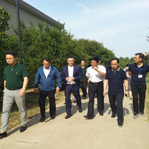 热烈欢迎无棣县领导莅临华盛集团亳州产业基地参观考察