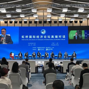 虹桥国际经济论坛高端对话：保险业高质量助力“六稳”“六保” “太保服务”让进博会越办越好