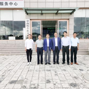 新华社记者采访团莅临华羚乳品公司调研采访