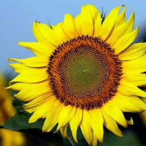 【鑫世界珠宝】有一种前进是后退