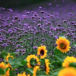 云掌黄金珠宝讲述“积累”成功背后的故事