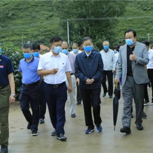 民建中央主席调研华谊兄弟公益基金“零钱电影院”丰宁项目