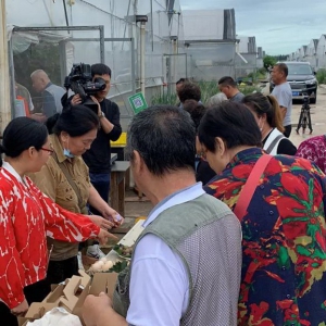 金秋迎硕果，博康艾馨享老主题活动引央视关注