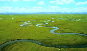 财经大咖走进君乐宝旗帜乳业基地 见证“种出鲜活好奶粉”