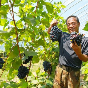 陕西神木：全面小康迈新途