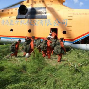 第十七届中国科学家论坛在京召开 青直公司斩获多项殊荣