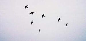 易金通：失败是成功者的家常便饭