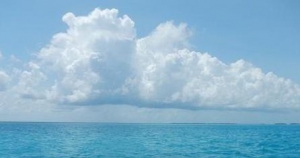 易金通：相信自己，阳光总在风雨后