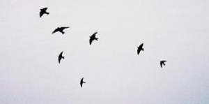 易金通：不抱怨的世界