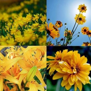 云掌黄金珠宝浅谈“一杯水的重量”