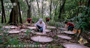 从一坛酒庄酒，品味百年陈太吉酒庄