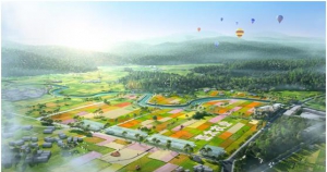 亚太农业“亚太超精1号”喜获丰收