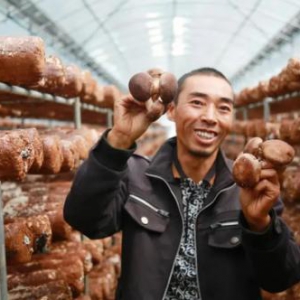 茅台获全国脱贫攻坚奖，8年来带动近15万户贫困农户解困