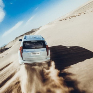 山猫&山猫纵队这次玩儿大了