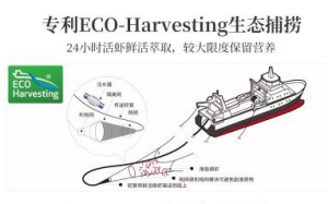 从挪威到中国，NYO3走了100年