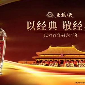 上心了·五粮液！