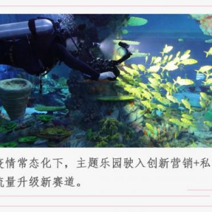 主题乐园酝酿新变局，跨界营销+“宠粉”如何助力行业复苏？