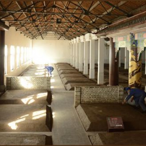 精华荟萃，孕人间佳酿金种子