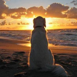 云掌黄金珠宝讲述人生最后悔的25件事-下