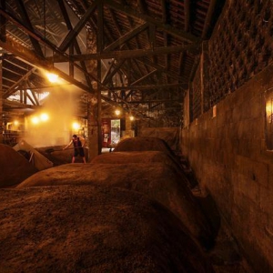 藏在老窖池里的秘密，告诉我们从何而来往何处去！