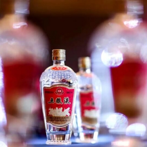 致敬时代先锋，再现历史经典经典五粮液亮相羊城