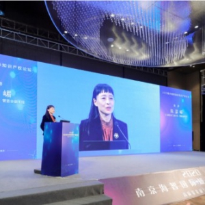 2020南京海智国际知识产权论坛圆满召开