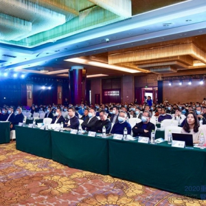 2020重庆城市更新论坛举行 专家学者共话城市未来