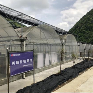 全国国家级贫困县脱贫新起点 度小满助农免息贷持续助力乡村振兴