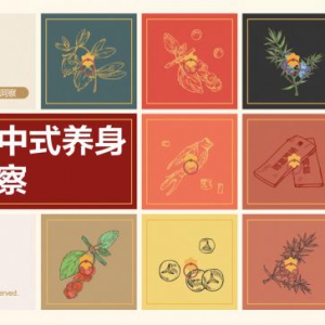 CBNData发布《2020中式养身行业洞察》