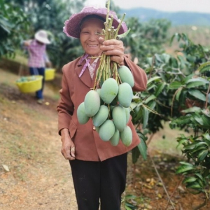 从“输血”到“造血” 华润万家点亮扶贫路