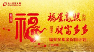 北大方正人寿福多多年金保险计划（铂金版） 敬请期待