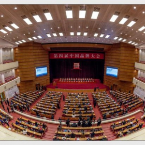 第四届中国品牌大会在京举行 上海问茶健康载誉而归