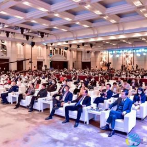 第七届全球深商大会 未来十年都要变成“第一”