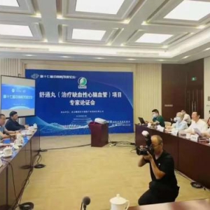 “疏通丸（治疗缺血性心脑血管病）”创新技术成果顺利通过专家评审