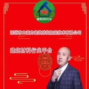 中国行业领军人物——卜红记