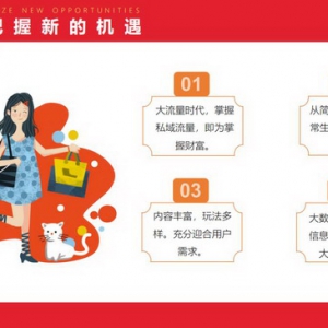 浅析盛世农谷将如何引领电商平台新模式