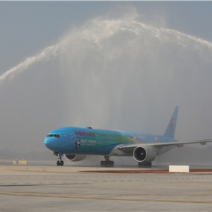 进博“熊猫”返故乡，东航首飞成都天府国际机场