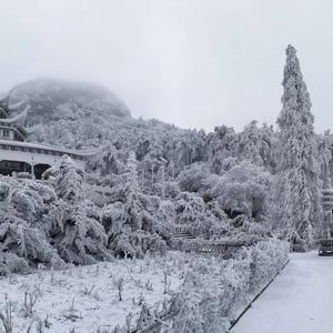 新年伊始 雪落耀眼明珠天台山