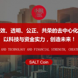 什么才是DeFi 赛道的最佳形态？SALT Coin给出了完美的答案！