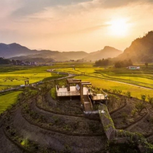 以“和”为贵，蕴含着中国人对“美”的追求