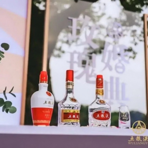 感悟美酒文化，共赴和美之约