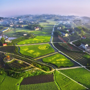 扶贫攻坚战中的五粮液“样板”