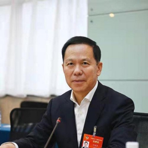 全国政协委员刘绍勇：建议制定中国民航业2030碳达峰和2060碳中和的方案、全力支持国产民机运营