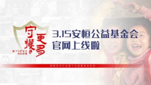 国内网络安全首个公益基金官网上线 安恒信息正式开启港湾计划