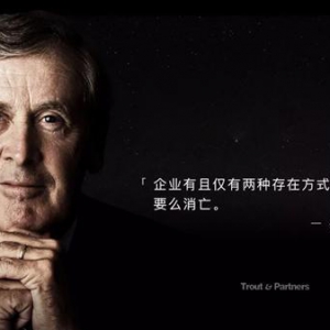 2020年中国十大品牌定位和战略咨询机构