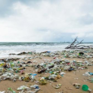 智能环保袋领取机免费发放环保袋，环保意识从小事做起