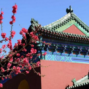 第三代哈弗H6 2.0T：自驾踏青正当时